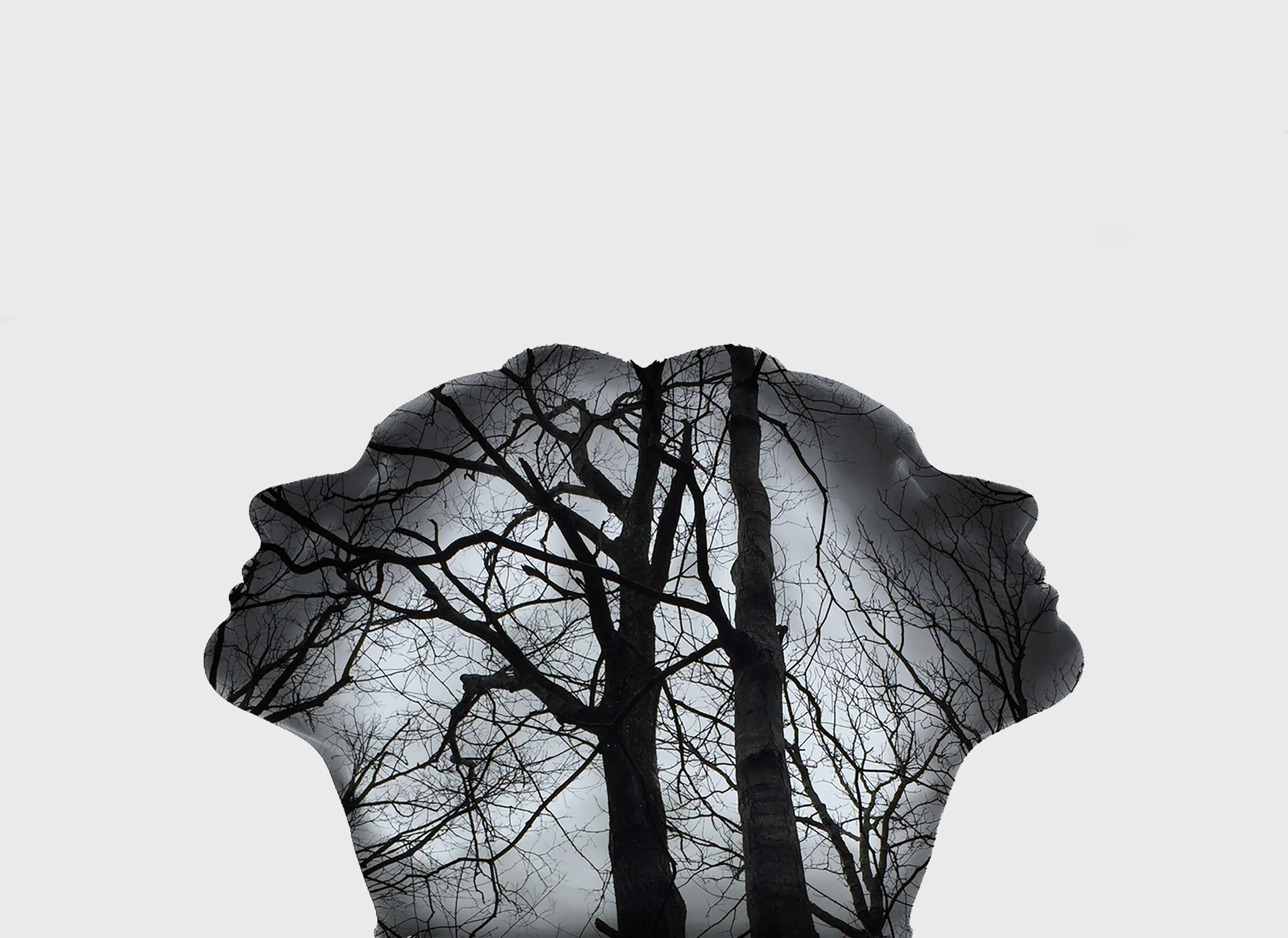 Silhouetted figure filled with bare tree branches