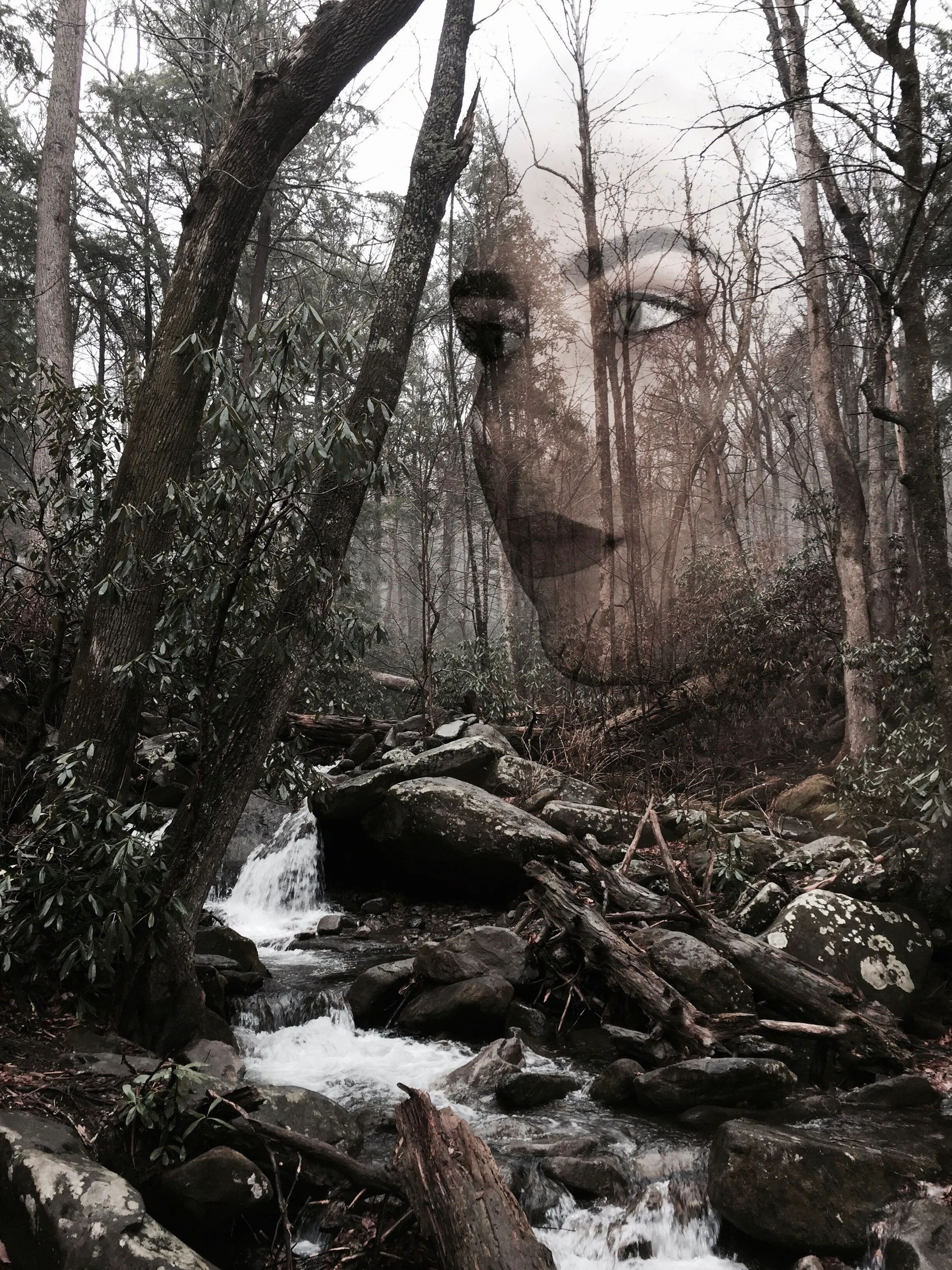 Figure composited into a wooded creek landscape